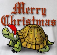 merry_christmas_turtle.jpg