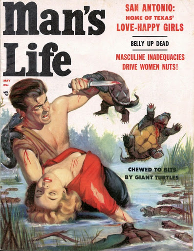 turtle-attack.jpg