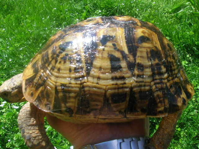 003.JPG