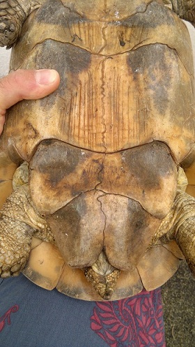 2012-06-10-589.jpg