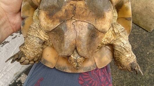 2012-06-10-590.jpg
