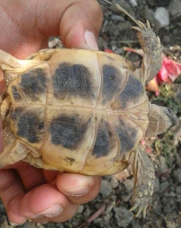 2013-07-08 12.58.27-1.jpg