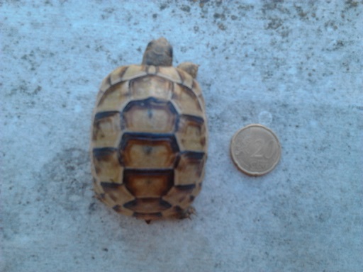 2013-07-10 16.54.45.jpg