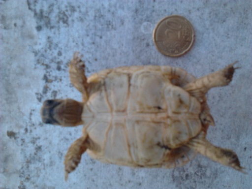 2013-07-10 16.55.27.jpg