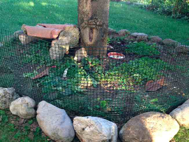 2013-09-04 18.44.02.jpg