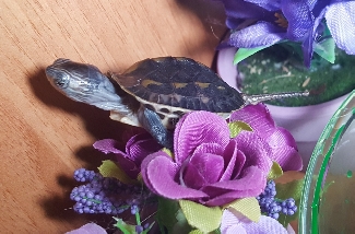 20181012_114304.jpg