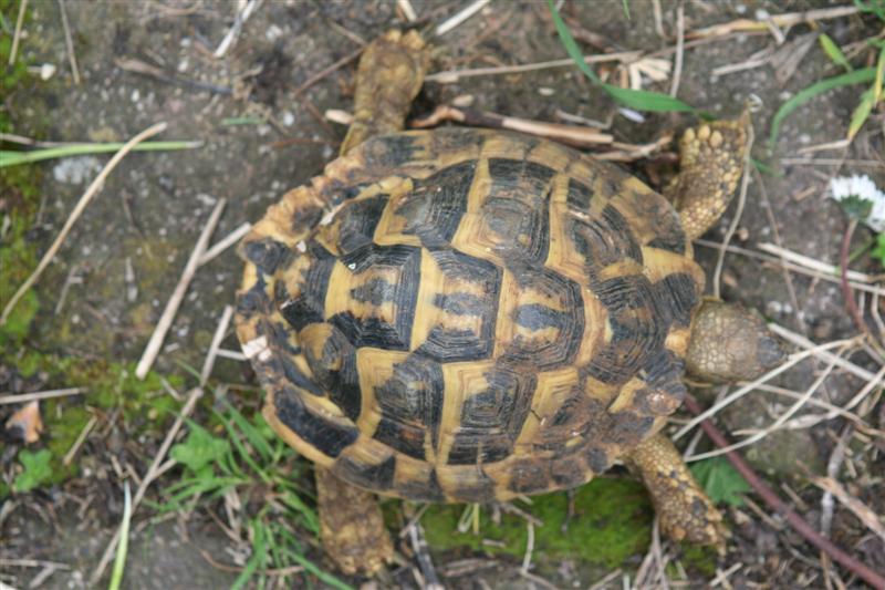 figlio1 (Medium).jpg