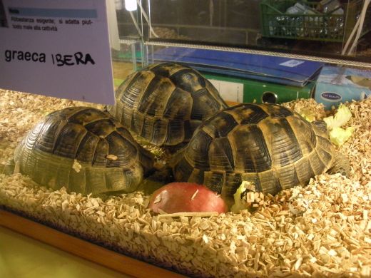 FOTO 009.jpg