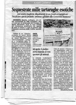 art il tirreno (2).jpg