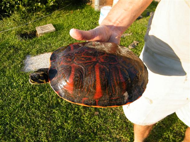 DSCF1397 (Custom).JPG