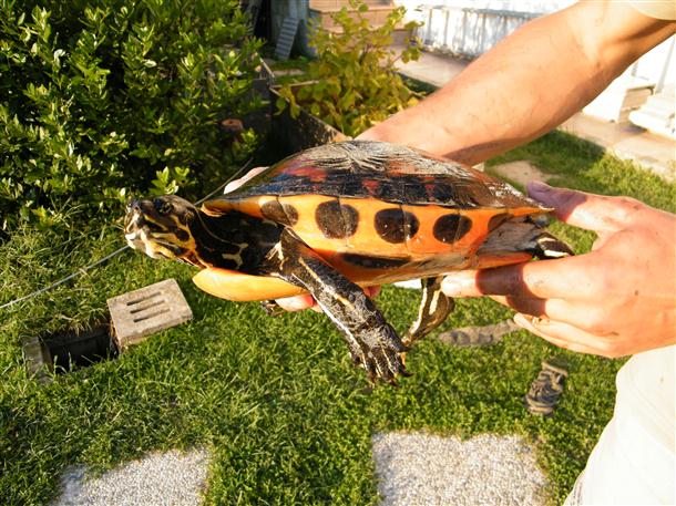 DSCF1399 (Custom).JPG