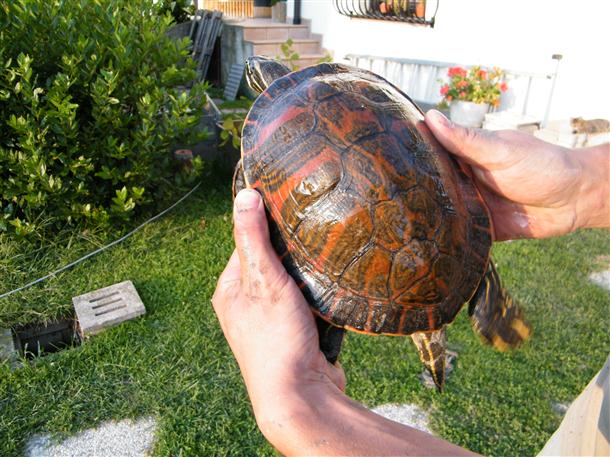 DSCF1400 (Custom).JPG