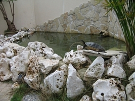 tn_il mio laghetto (2).JPG