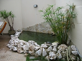 tn_il mio laghetto (3).JPG