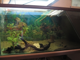 tn_sistemazione tarte 029.JPG