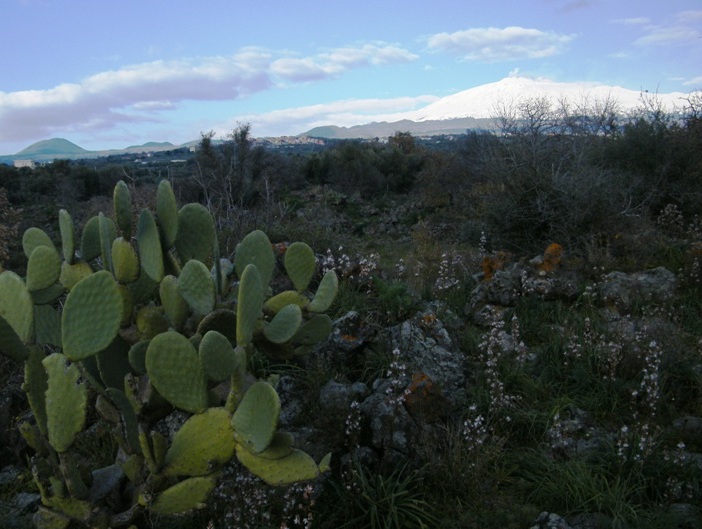 DSCF4438.JPG