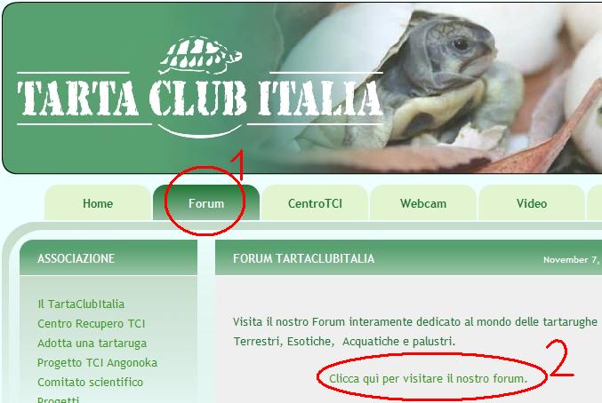 accedi al forum.jpg