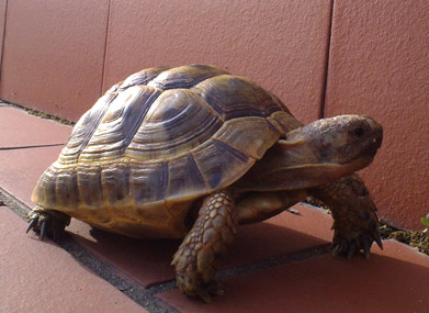 270320112168 copia.jpg