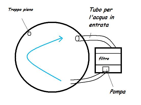Immagine.jpg