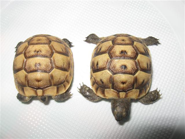 IMG_2022 (Small).JPG