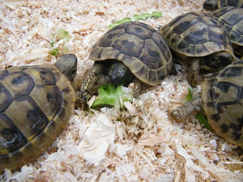 DSCF6134.JPG
