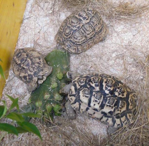 DSCF6182.JPG