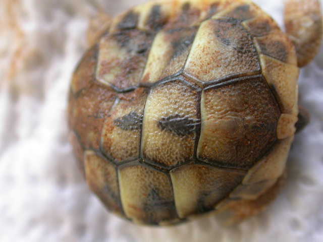 DSCN6514.JPG