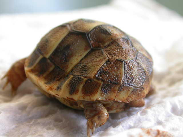 DSCN6516.JPG