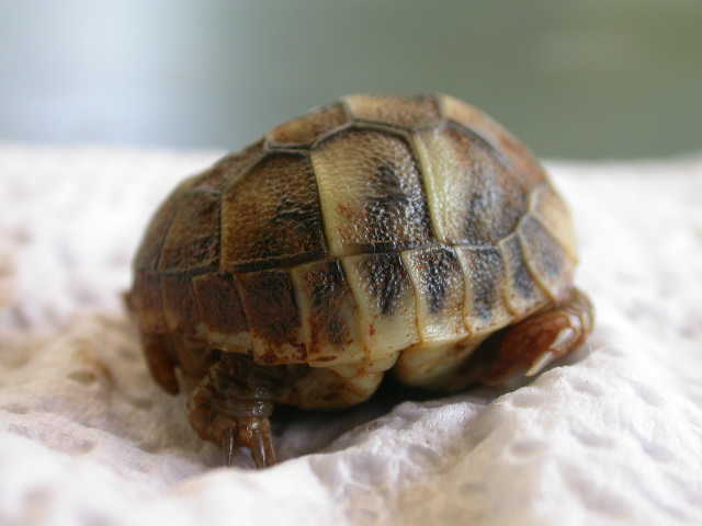 DSCN6517.JPG